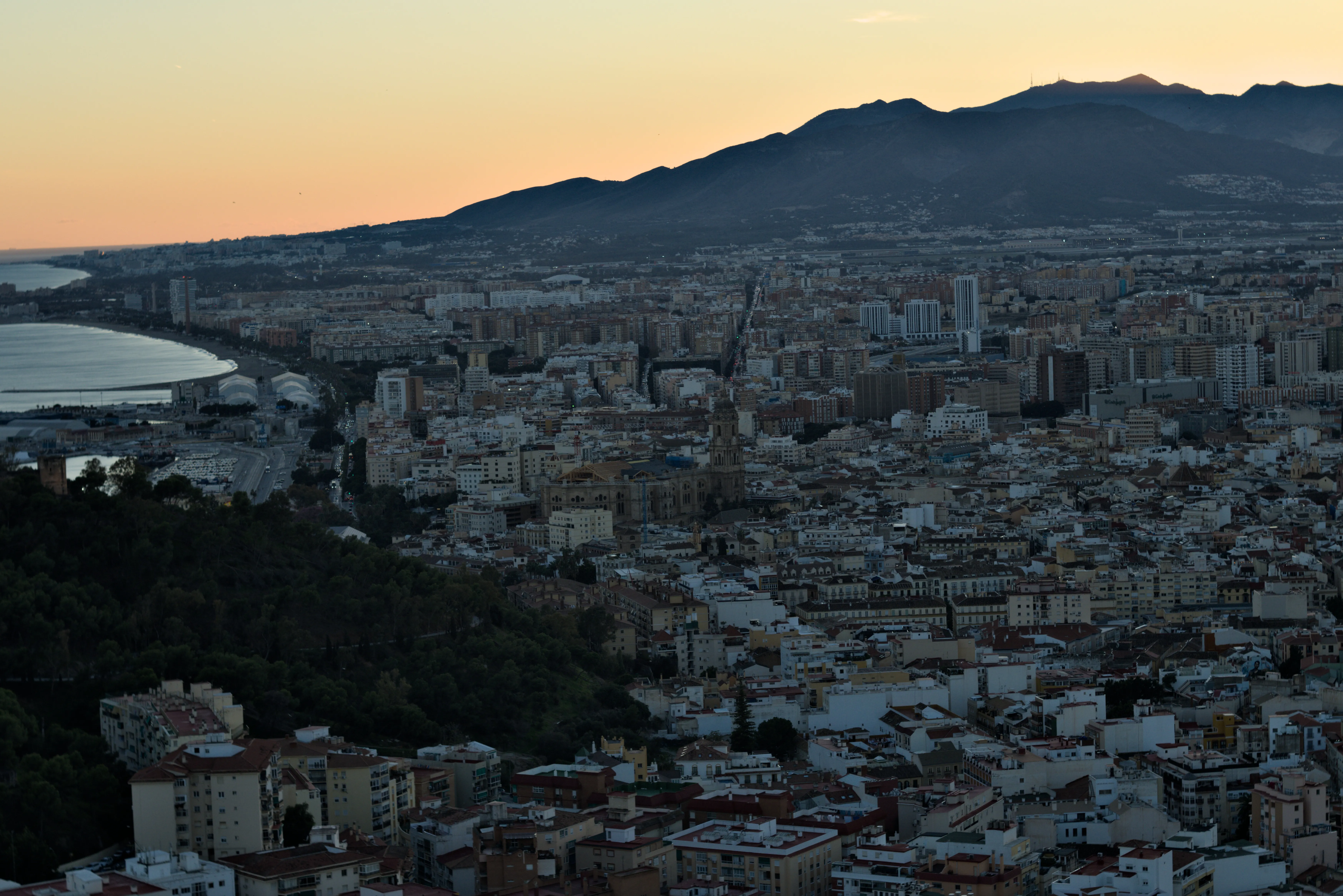 Zenith Helios-77M-4 1,850 (VOMZ) - _I4A5386.webp